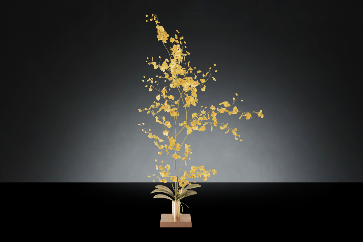 1700221526-1142932.37 ONCIDIUM_2LOW
